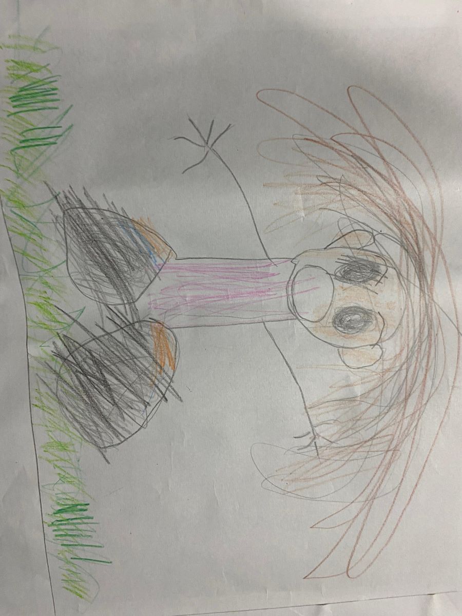 Escuela N°40 Bernardino Rivadavia. Prof. Claudia Silvina Acosta