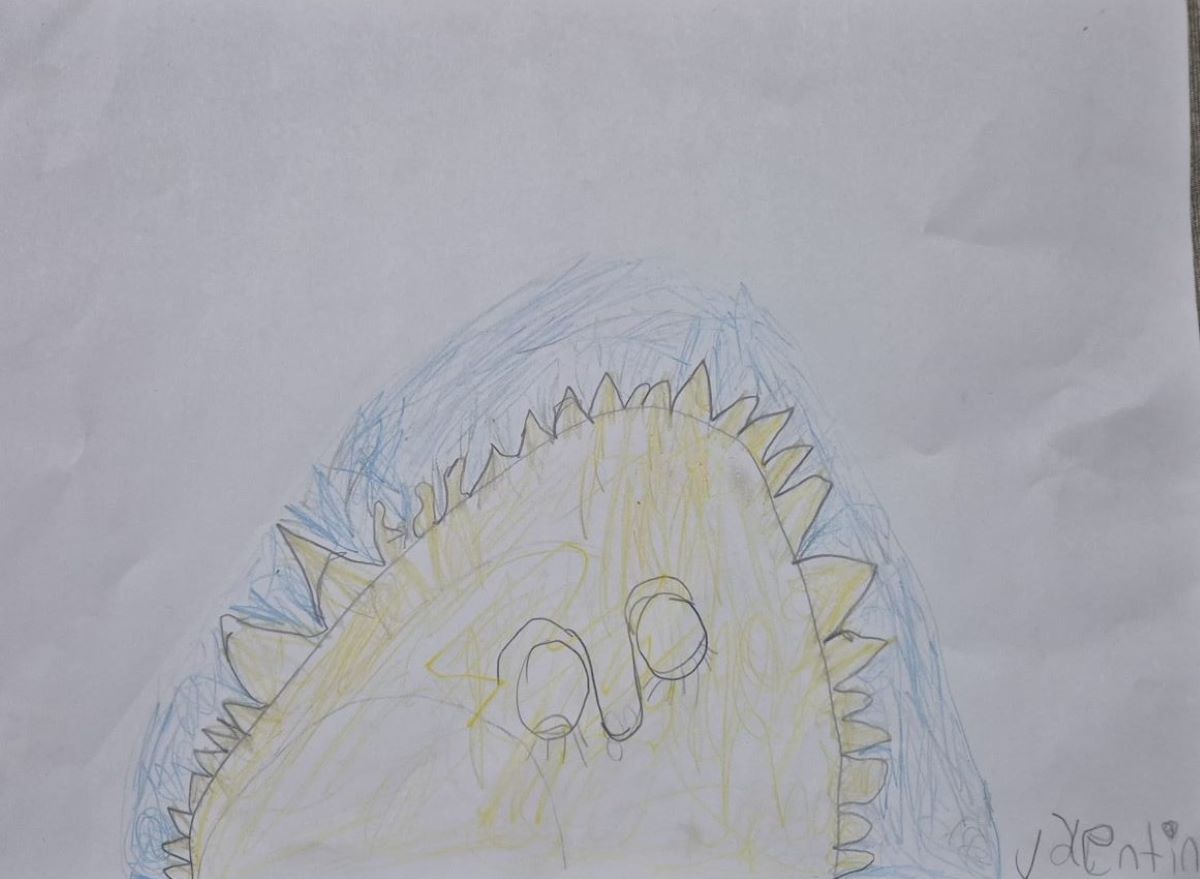 Valentín Campos Pardo