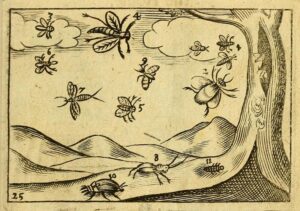 ilustración Orbis Pictus Comenio enseñanza visual naturaleza siglo XVII